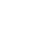 Video Interpreting icon